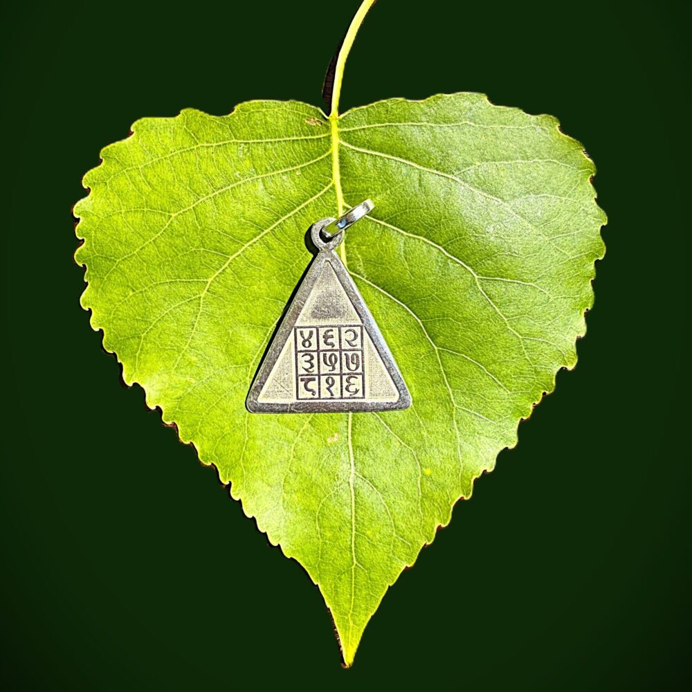 Top view of Pyra Yantra silver pendant resting on green leaf with plain dark green background